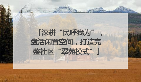 深耕“民呼我为”，盘活闲置空间，打造完整社区“翠苑模式”