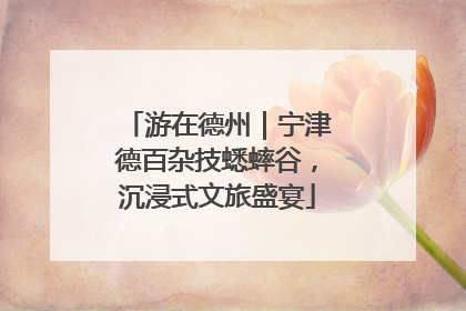 游在德州｜宁津德百杂技蟋蟀谷，沉浸式文旅盛宴