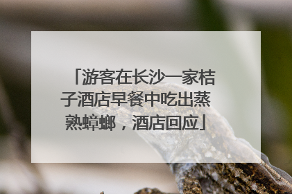 游客在长沙一家桔子酒店早餐中吃出蒸熟蟑螂，酒店回应