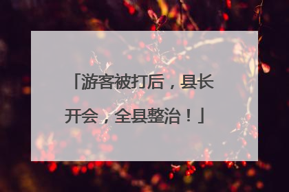 游客被打后，县长开会，全县整治！