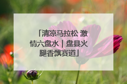 清凉马拉松 激情六盘水｜盘县火腿香飘赛道