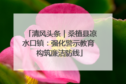 清风头条｜桑植县凉水口镇：强化警示教育 构筑廉洁防线