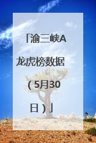 渝三峡A龙虎榜数据（5月30日）