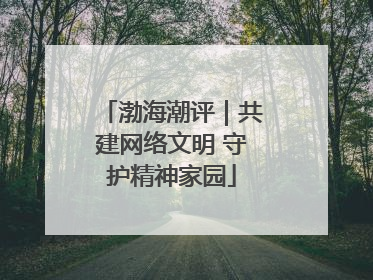 渤海潮评｜共建网络文明 守护精神家园