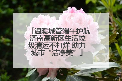温暖城管端午护航 济南高新区生活垃圾清运不打烊 助力城市“洁净美”