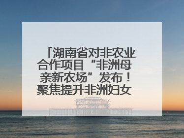 湖南省对非农业合作项目“非洲母亲新农场”发布！聚焦提升非洲妇女能力与家庭福祉