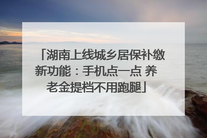 湖南上线城乡居保补缴新功能：手机点一点 养老金提档不用跑腿