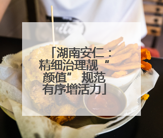 湖南安仁：精细治理靓“颜值” 规范有序增活力