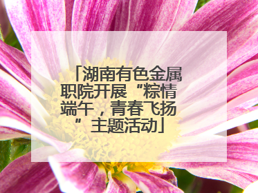 湖南有色金属职院开展“粽情端午，青春飞扬”主题活动