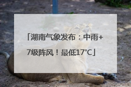 湖南气象发布：中雨+7级阵风！最低17℃