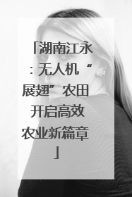 湖南江永：无人机“展翅”农田 开启高效农业新篇章
