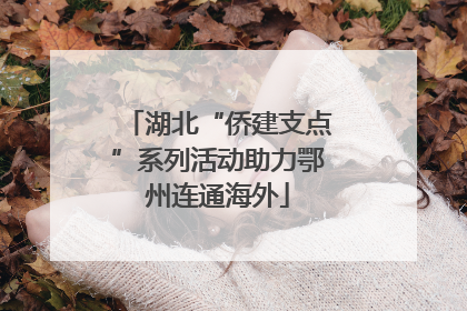湖北“侨建支点”系列活动助力鄂州连通海外