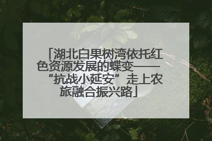 湖北白果树湾依托红色资源发展的蝶变——“抗战小延安”走上农旅融合振兴路