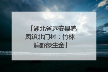 湖北省远安县鸣凤镇北门村：竹林遍野绿生金