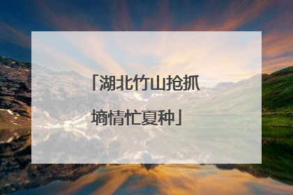 湖北竹山抢抓墒情忙夏种