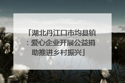 湖北丹江口市均县镇：爱心企业开展公益捐助推进乡村振兴