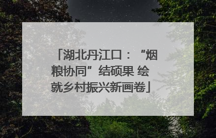 湖北丹江口：“烟粮协同”结硕果 绘就乡村振兴新画卷
