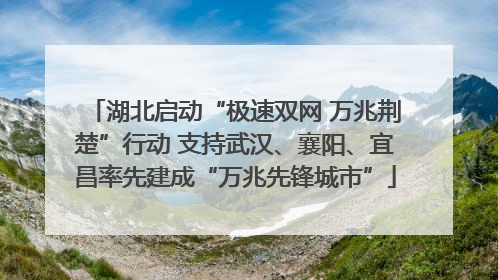 湖北启动“极速双网 万兆荆楚”行动 支持武汉、襄阳、宜昌率先建成“万兆先锋城市”