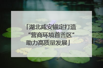 湖北咸安锚定打造“营商环境首善区”助力高质量发展