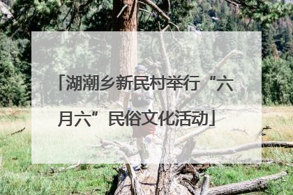 湖潮乡新民村举行“六月六”民俗文化活动