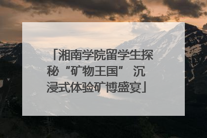 湘南学院留学生探秘“矿物王国” 沉浸式体验矿博盛宴
