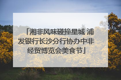 湘非风味碰撞星城 浦发银行长沙分行协办中非经贸博览会美食节