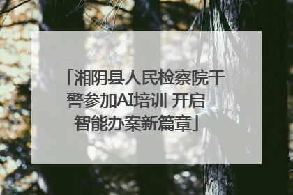 湘阴县人民检察院干警参加AI培训 开启智能办案新篇章