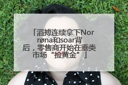 滔搏连续拿下Norrøna和soar背后，零售商开始在垂类市场“捡黄金”