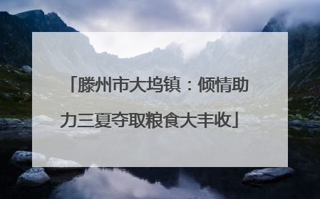 滕州市大坞镇：倾情助力三夏夺取粮食大丰收