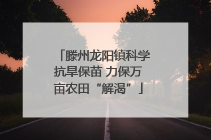 滕州龙阳镇科学抗旱保苗 力保万亩农田“解渴”