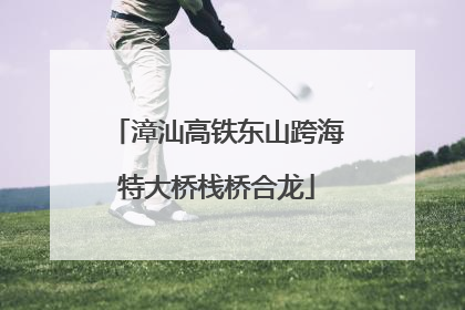漳汕高铁东山跨海特大桥栈桥合龙