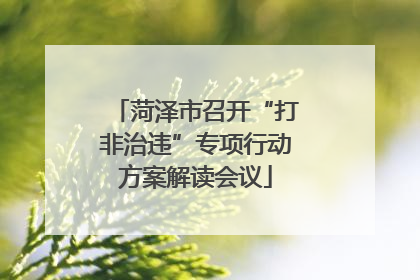 菏泽市召开“打非治违”专项行动方案解读会议