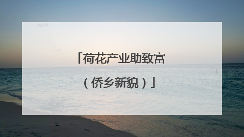 荷花产业助致富（侨乡新貌）