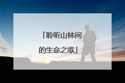 聆听山林间的生命之歌