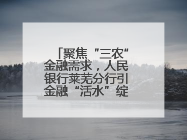 聚焦“三农”金融需求，人民银行莱芜分行引金融“活水”绽乡村振兴之花