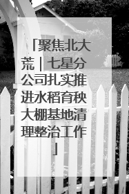 聚焦北大荒｜七星分公司扎实推进水稻育秧大棚基地清理整治工作