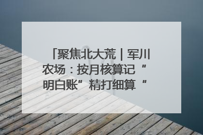 聚焦北大荒｜军川农场：按月核算记“明白账”精打细算“过紧日子”