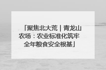 聚焦北大荒｜青龙山农场：农业标准化筑牢全年粮食安全根基