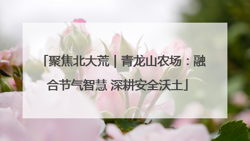 聚焦北大荒｜青龙山农场：融合节气智慧 深耕安全沃土