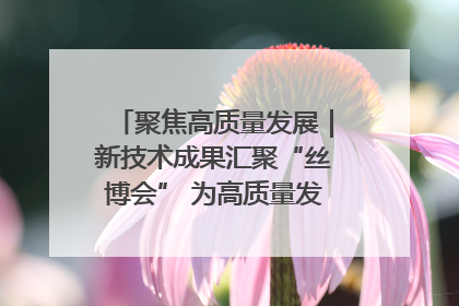 聚焦高质量发展｜新技术成果汇聚“丝博会” 为高质量发展注入新动能