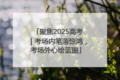 聚焦2025高考｜考场内笔落惊鸿，考场外心绘蓝图