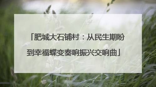 肥城大石铺村：从民生期盼到幸福蝶变奏响振兴交响曲