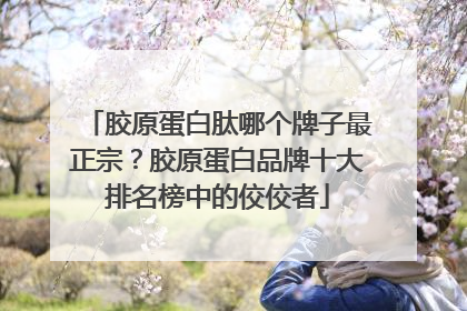 胶原蛋白肽哪个牌子最正宗？胶原蛋白品牌十大排名榜中的佼佼者