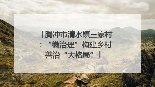 腾冲市清水镇三家村：“微治理”构建乡村善治“大格局”