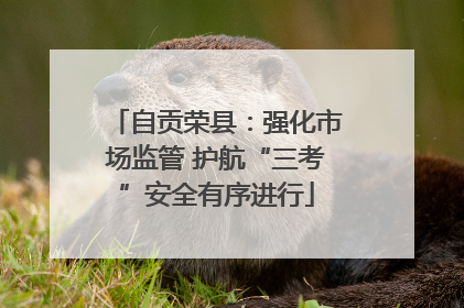 自贡荣县：强化市场监管 护航“三考”安全有序进行