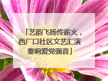 艺韵飞扬传薪火，西厂口社区文艺汇演奏响爱党强音