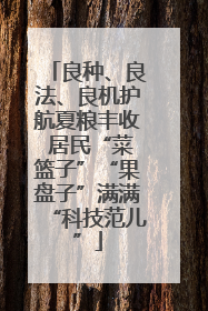 良种、良法、良机护航夏粮丰收 居民“菜篮子”“果盘子”满满“科技范儿”