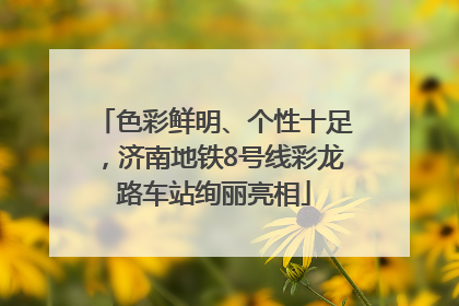 色彩鲜明、个性十足，济南地铁8号线彩龙路车站绚丽亮相