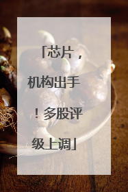 芯片，机构出手！多股评级上调