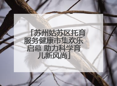 苏州姑苏区托育服务健康市集欢乐启幕 助力科学育儿新风尚